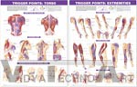 Trigger Point Anatomical Chart Set: Torso & Extremities, 2nd Edition